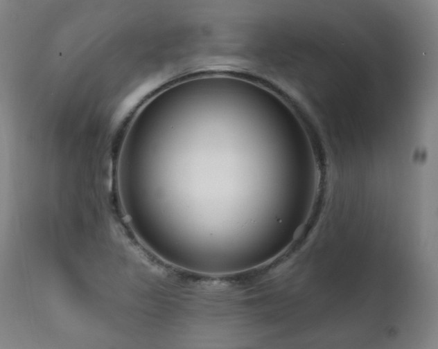 X0000111221317200907091302
