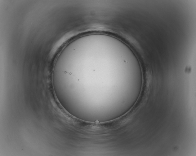 X0000111221318200907091302
