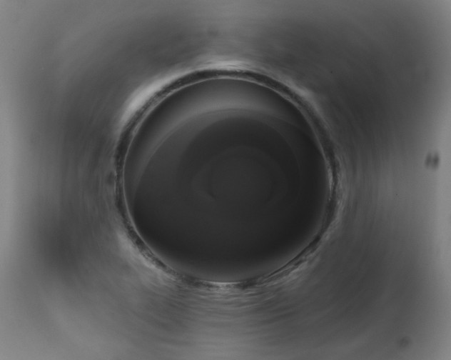 X0000111221319200907091302