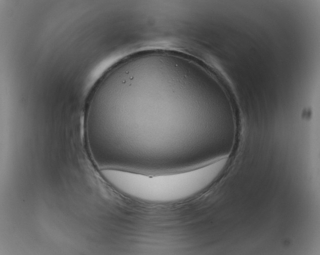 X0000111221320200907091302