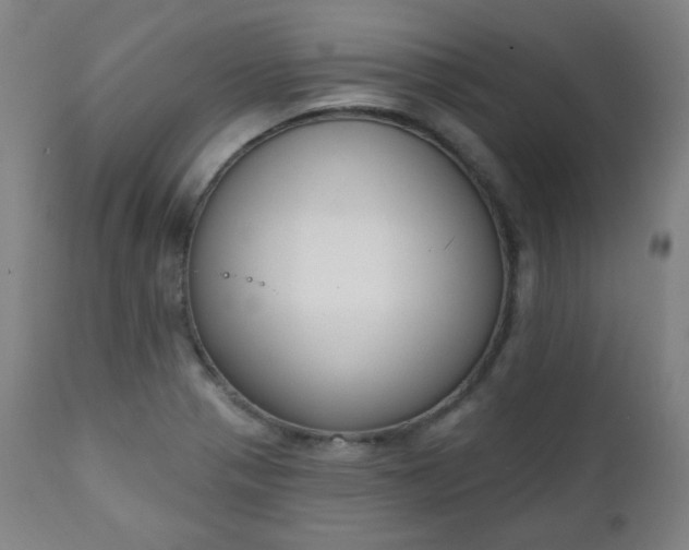 X0000111221321200907091302