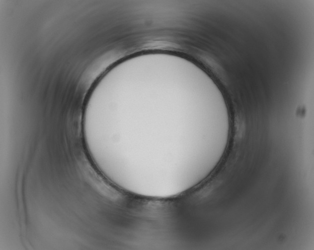 X0000111221322200907091302