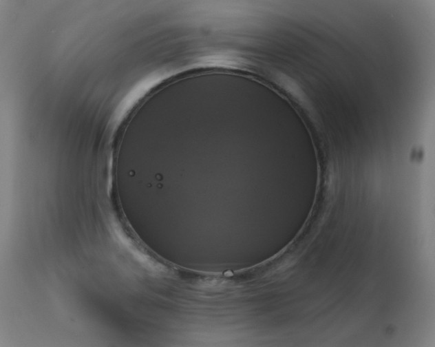 X0000111221323200907091302