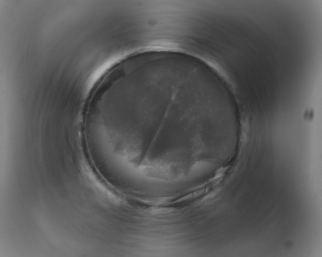 X0000111221325200907091302