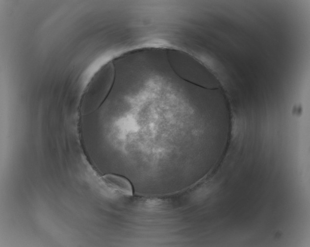X0000111221326200907091302