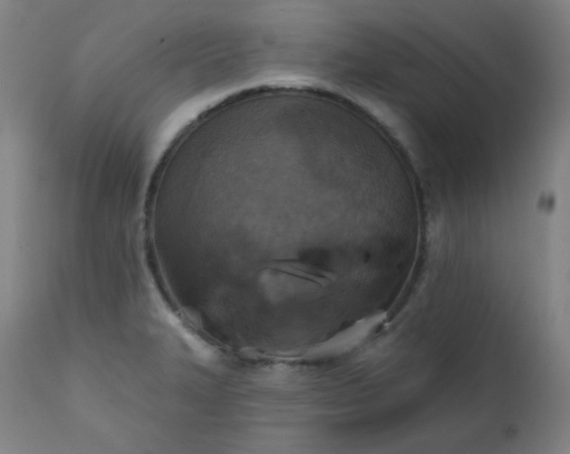 X0000111221327200907091302