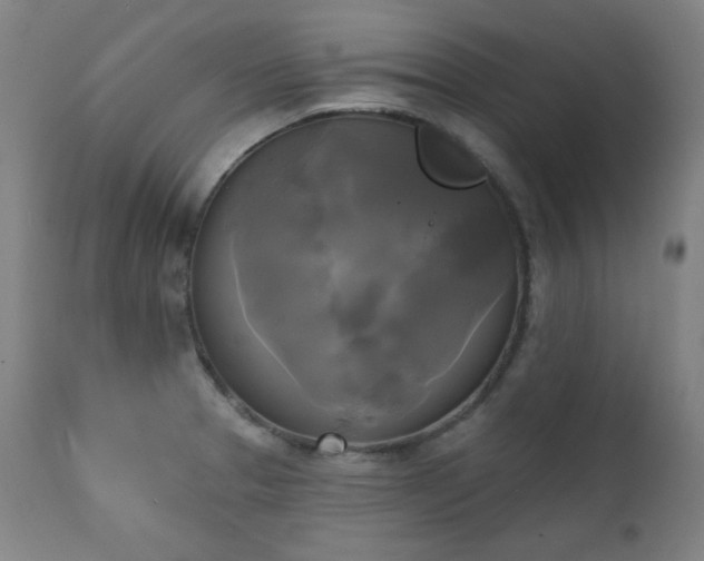 X0000111221329200907091302