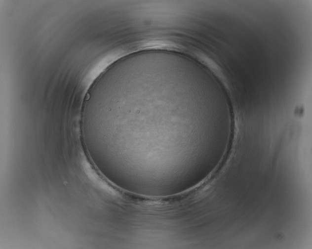 X0000111221330200907091302