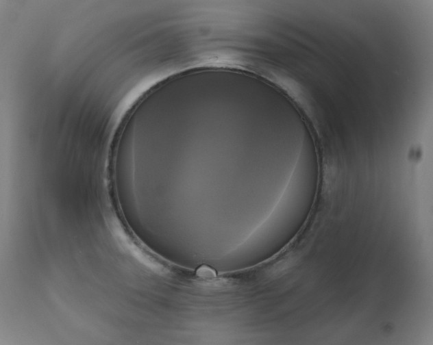 X0000111221331200907091302