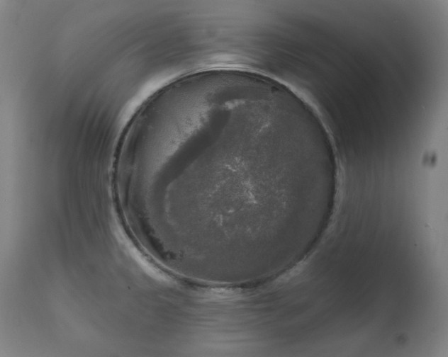 X0000111221333200907091302