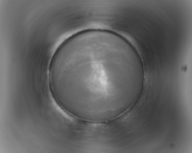 X0000111221335200907091302
