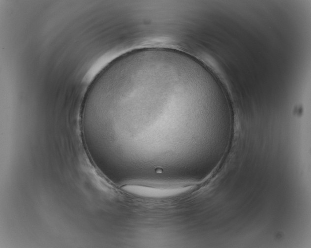 X0000111221336200907091302