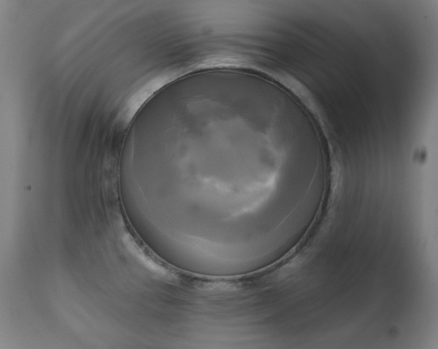 X0000111221337200907091302