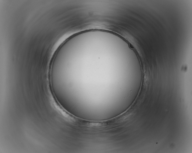 X0000111221339200907091302