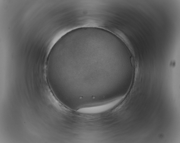 X0000111221340200907091302