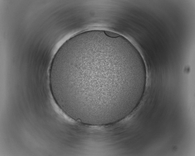 X0000111221341200907091302