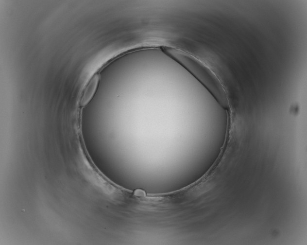 X0000111221342200907091302