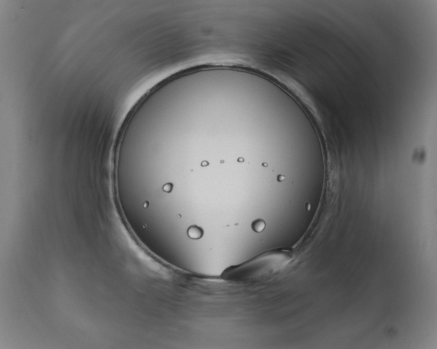 X0000111221343200907091302