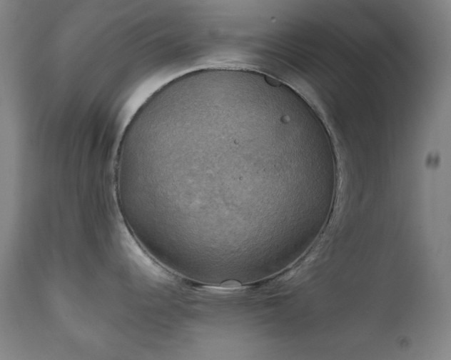 X0000111221344200907091302