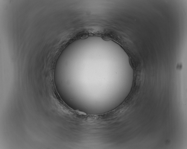 X0000111221345200907091302