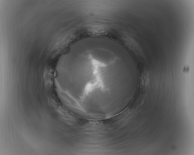 X0000111221346200907091302