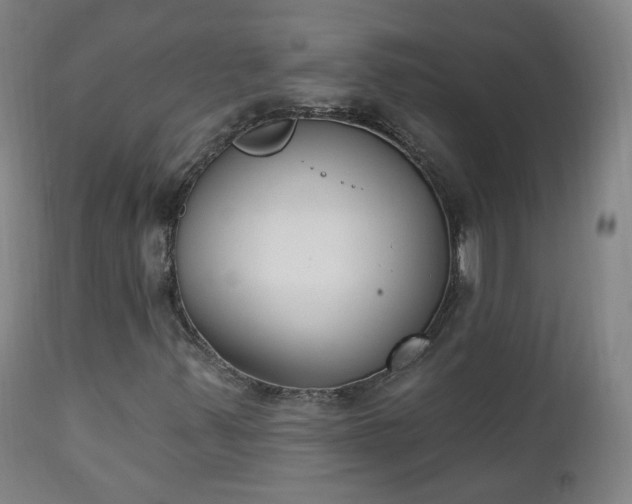 X0000111221347200907091302