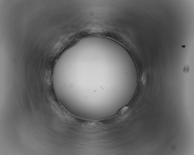 X0000111221348200907091302
