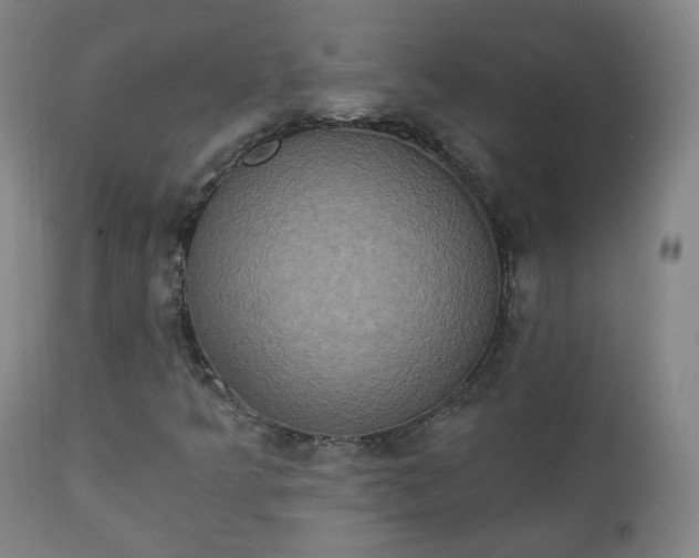 X0000111221349200907091302