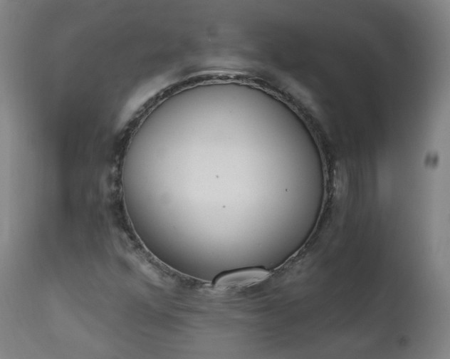 X0000111221352200907091302