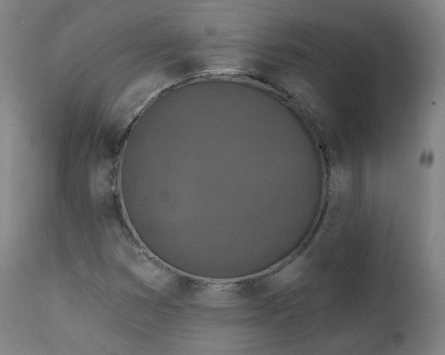 X0000111221353200907091302