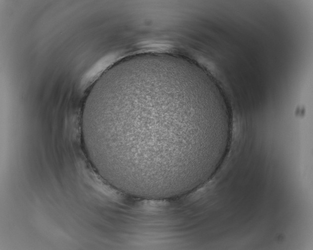 X0000111221354200907091302