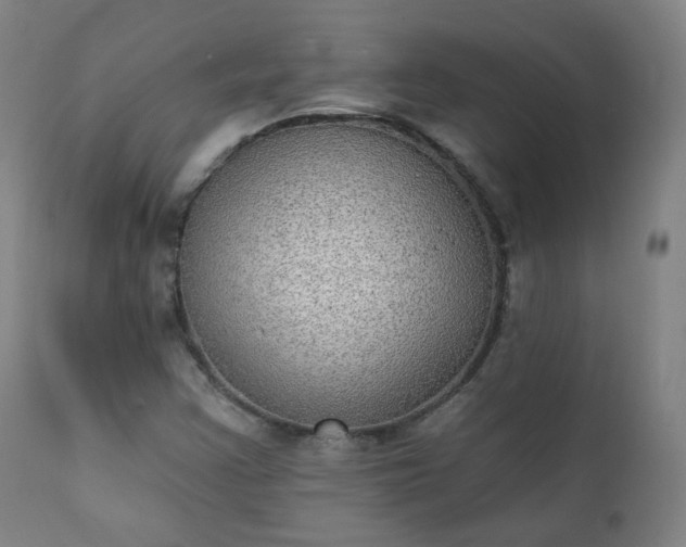 X0000111221355200907091302