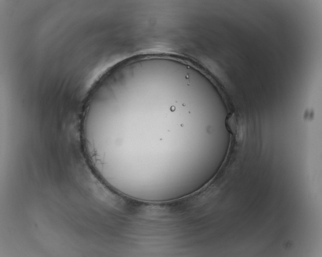 X0000111221356200907091302