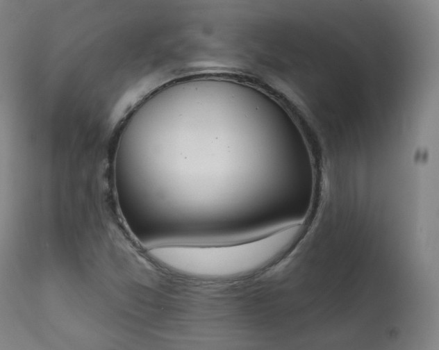 X0000111221357200907091301