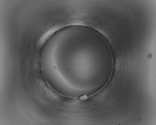 X0000111221359200907091301