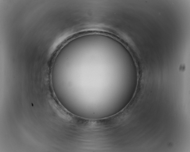 X0000111221360200907091301