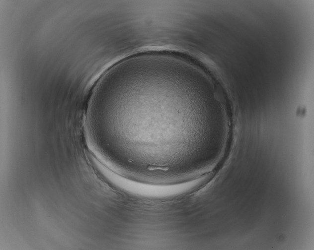 X0000111221361200907091301