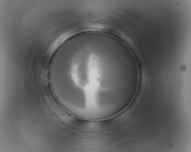X0000111221362200907091301