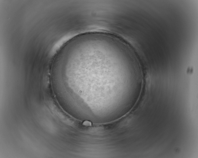 X0000111221363200907091301
