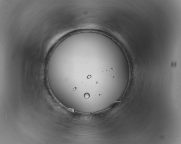 X0000111221364200907091301