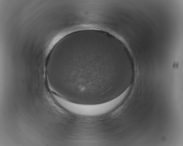 X0000111221365200907091301