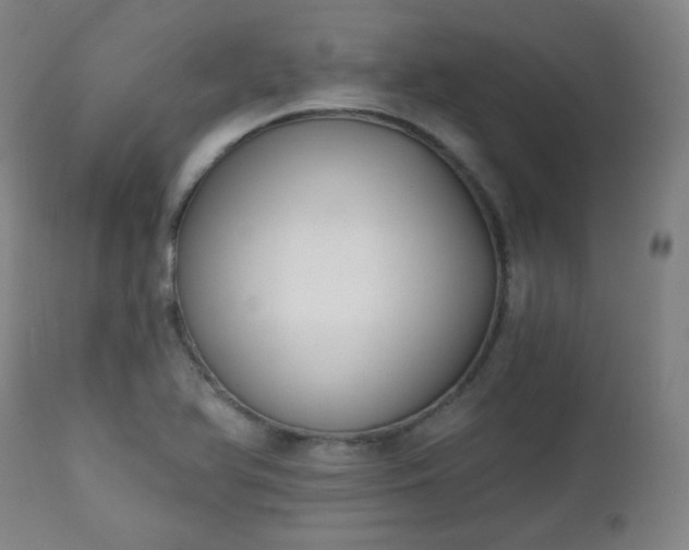 X0000111221366200907091301