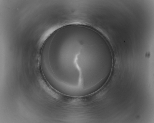 X0000111221367200907091301