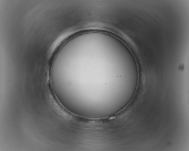X0000111221368200907091301