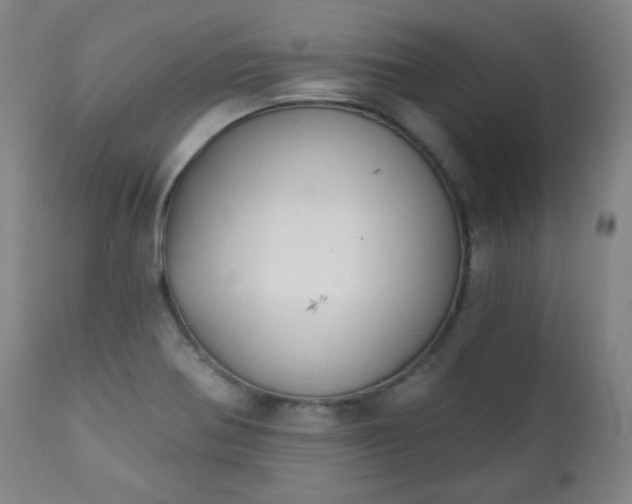 X0000111221370200907091301