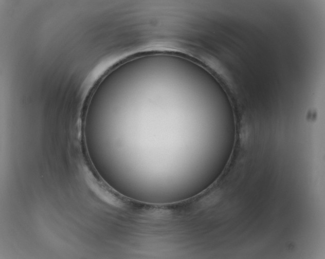 X0000111221372200907091301