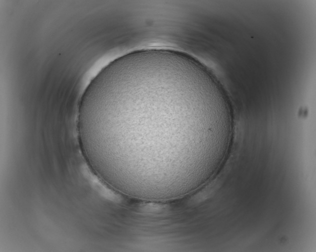 X0000111221374200907091301