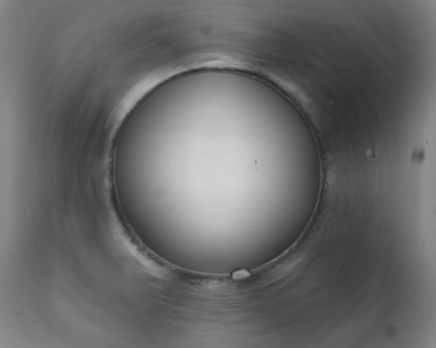 X0000111221375200907091301