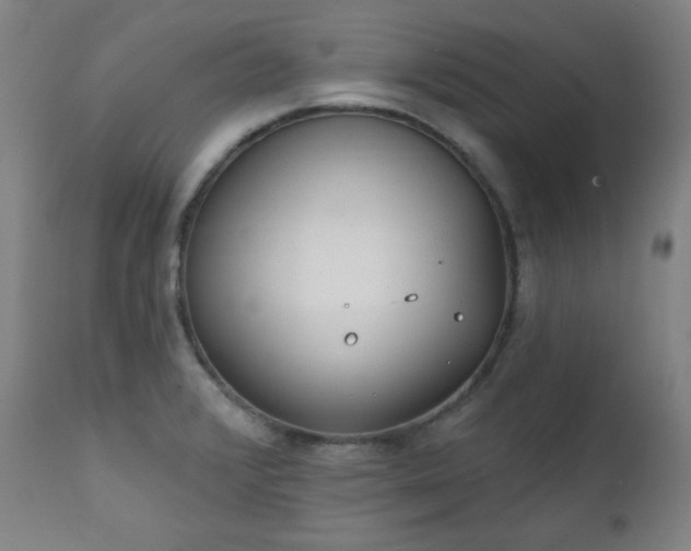 X0000111221376200907091301