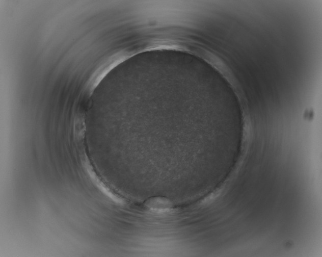 X0000111221377200907091301
